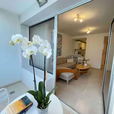 公寓 Exclusivo Apartamento En El Corazon De La Capital 圣克鲁斯-德特内里费
